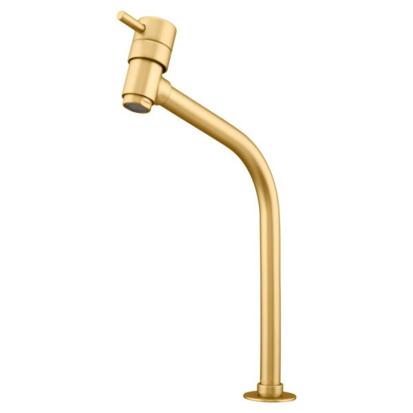 D'oro Vecchio