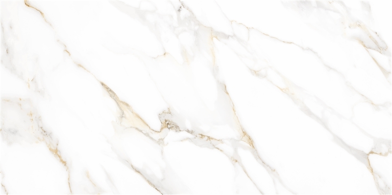 Porcelanato Helena Acrópole Polido 62x121