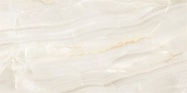 Porcelanato Helena Concept Onix Polido 62x121