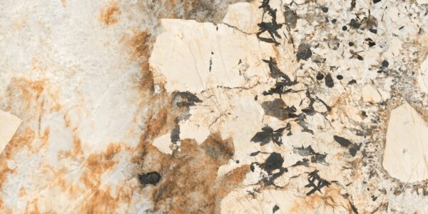 Porcelanato Helena Essence Polido 62x121