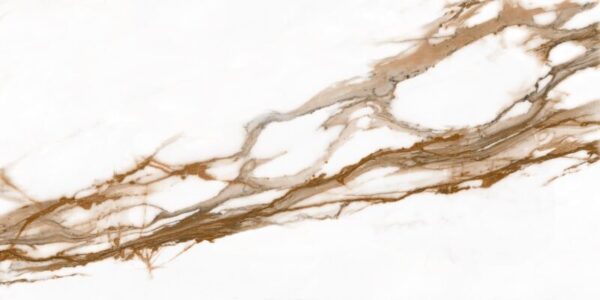 Porcelanato Helena Raízes Polido 62x121