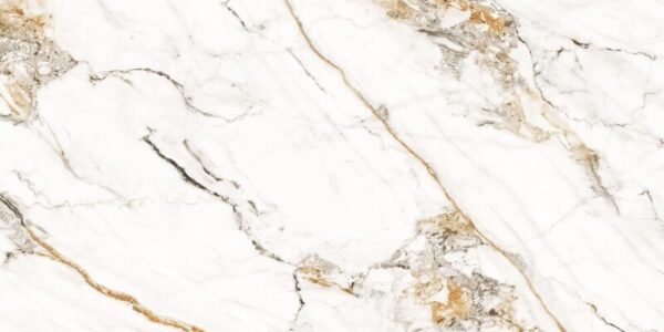 Porcelanato Helena Savana Polido 62x121